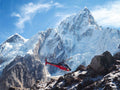 Helicopter Tours & Transfers