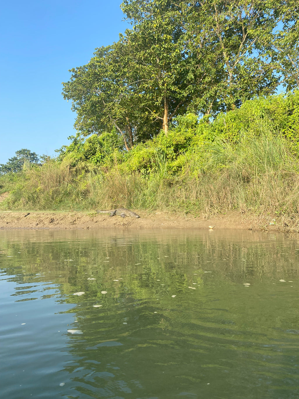 Chitwan safari