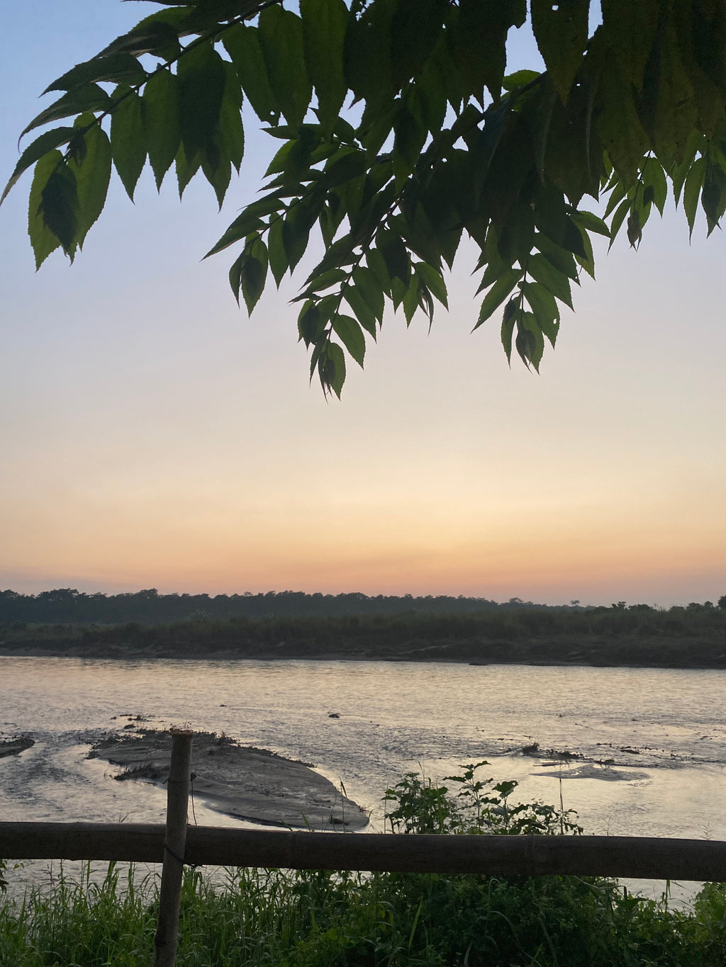 Chitwan safari