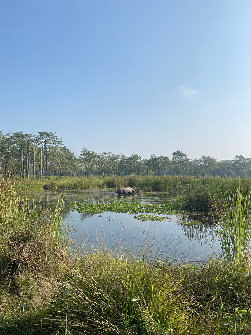 Chitwan safari