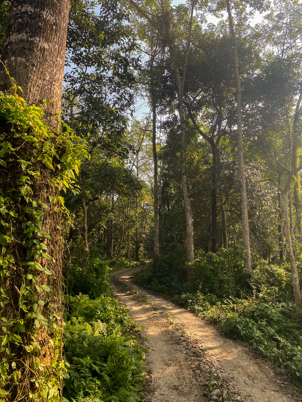 Chitwan safari