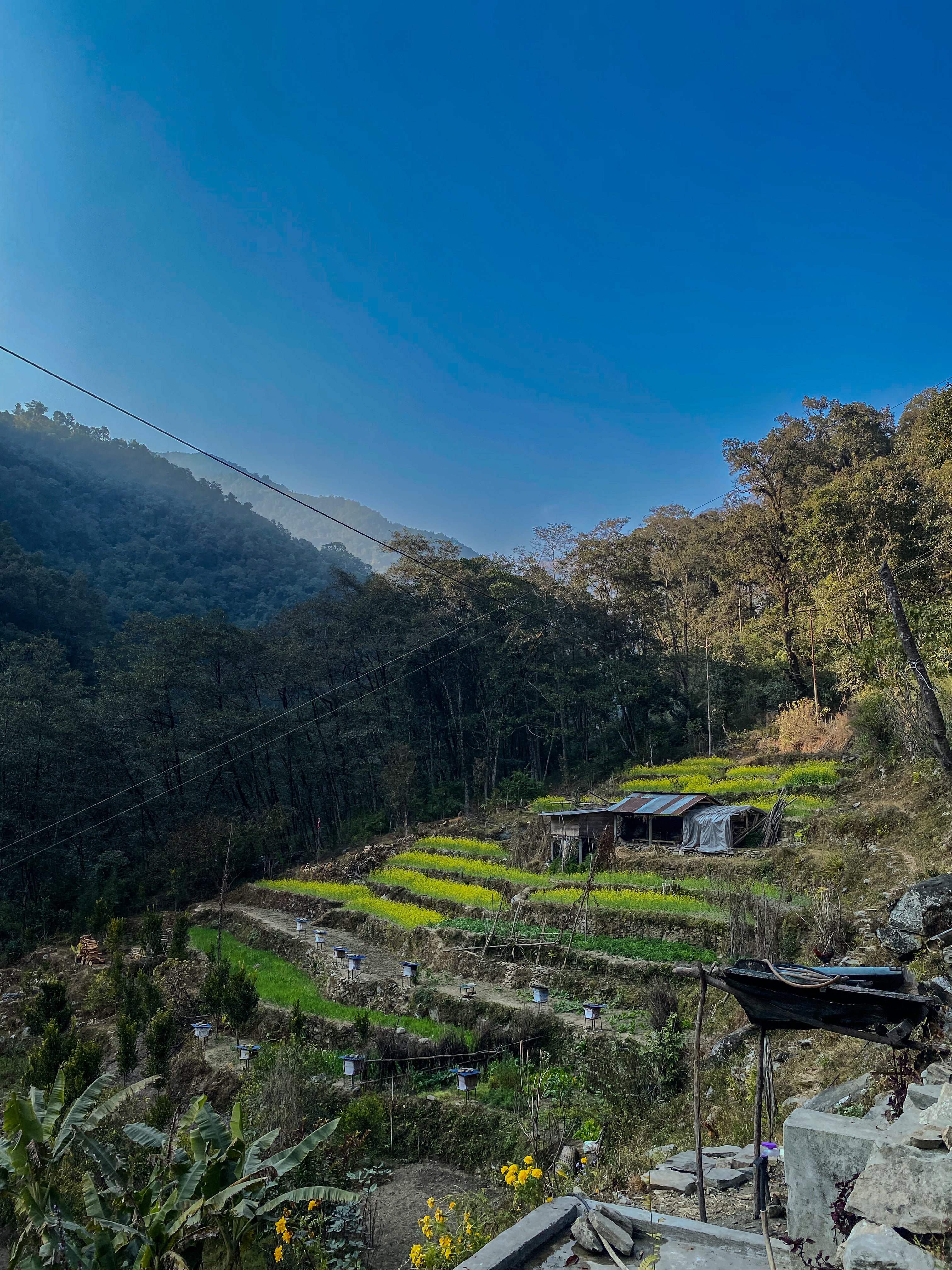 Poon Hill Sunrise Trek