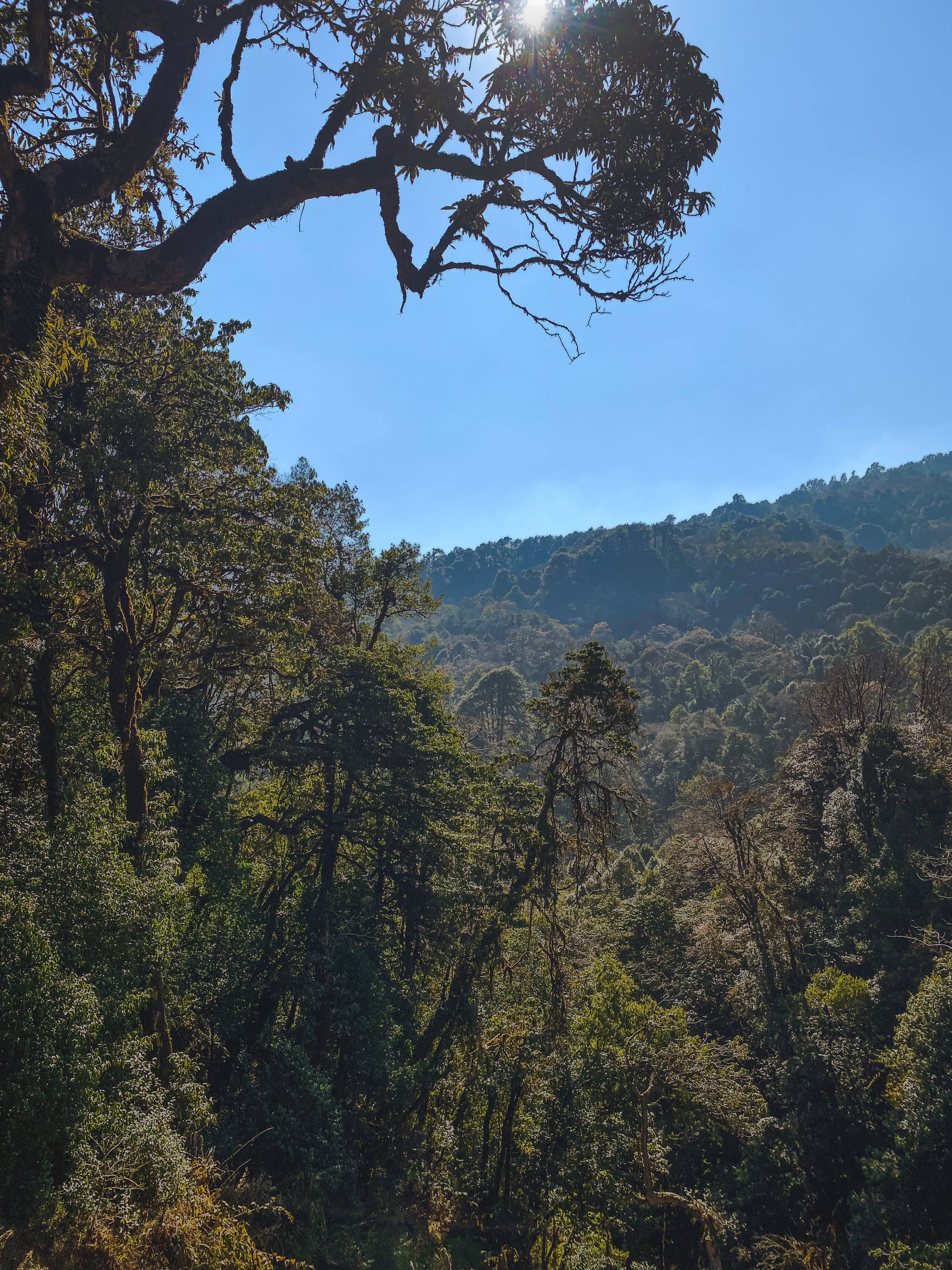 Poon Hill Sunrise Trek
